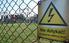 Ptaki a wysokie napięcie